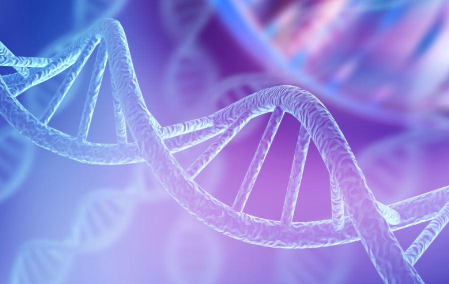 Testes de DNA populares revelam dados alarmantes sobre a formação de famílias nos EUA