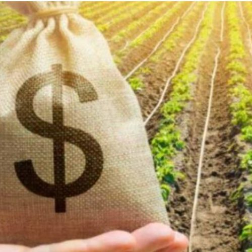 Quem são os maiores bilionários do agronegócio brasileiro?