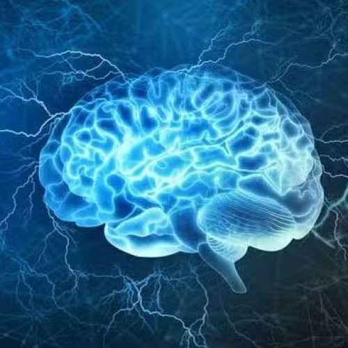 Quantos por cento do cérebro os humanos usam?
